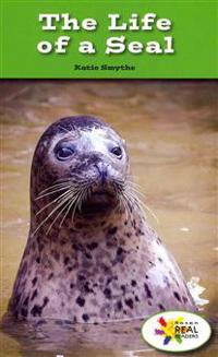 The Life of a Seal