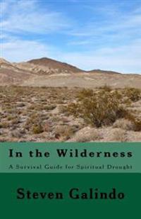 In the Wilderness: A Survival Guide for Spiritual Drought