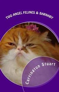 Two Angel Felines & Barnaby