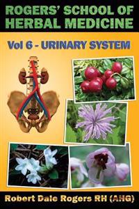 Urinary System