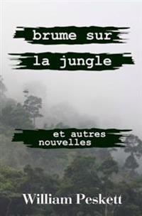 Brume sur la Jungle