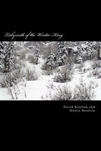 Labyrinth of the Winter King: An Epic Saga