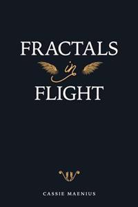 Fractals In Flight