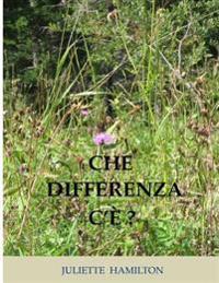 Che differenza c'è ?