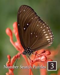 Number Search Puzzles