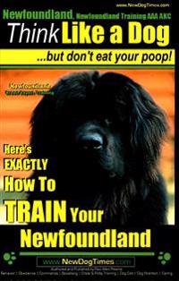 Newfoundland, Newfoundland Training AAA AKC