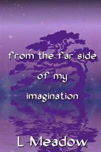 From The Far Side Of My Imagination