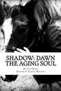 Shadow: Dawn