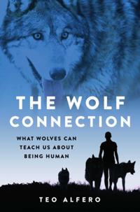 Wolf Connection