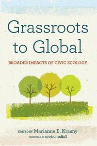 Grassroots to Global