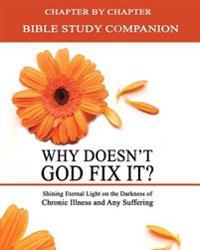 Why Doesn't God Fix It? - Bible Study Companion Booklet: Chapter by Chapter Companion Study for Why Doesn't God Fix It? - Shining Eternal Light on the