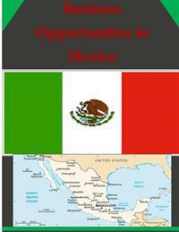 Business Opportunities in Mexico