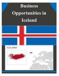 Business Opportunities in Iceland