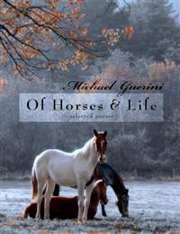 Of Horses & Life