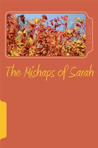 The Mishaps of Sarah: Black Cats and Bad Luck
