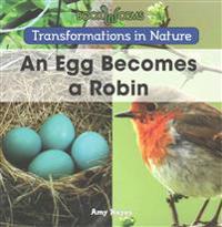 An Egg Becomes a Robin