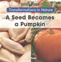A Seed Becomes a Pumpkin