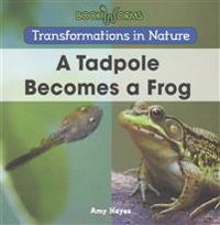 A Tadpole Becomes a Frog