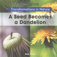 A Seed Becomes a Dandelion