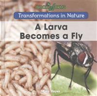 A Larva Becomes a Fly