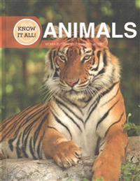 Animals