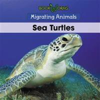 Bokomslag for "Sea Turtles"