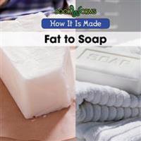 Fat to Soap