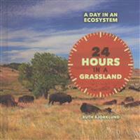 24 Hours in a Grassland