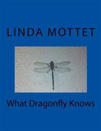 What Dragonfly Knows
