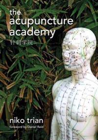 Acupuncture Academy