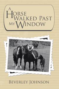 Horse Walked Past My Window