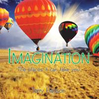 Imagination