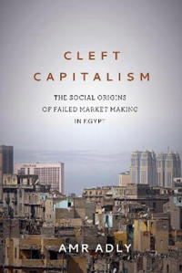 Kirjan kansi "Cleft Capitalism"