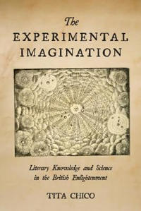 The Experimental Imagination