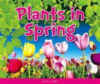Plants in Spring