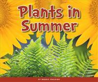 Plants in Summer