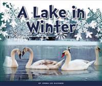 A Lake in Winter