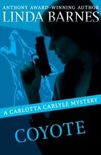 The Carlotta Carlyle Mysteries