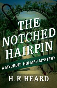 Notched Hairpin