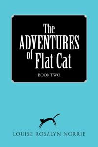Adventures of Flat Cat