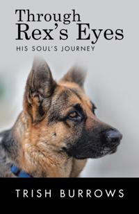Through Rex'S Eyes
