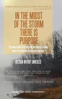 Kirjan kansi "In the Midst of the Storm There Is Purpose"