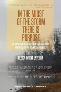 In the Midst of the Storm There Is Purpose