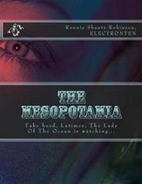 The Mesopotamia