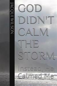 God Didn't Calm the Storm: Instead He Calmed Me