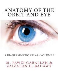 Anatomy of the Orbit and Eye: A Diagrammatic Atlas - Volume I