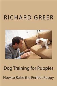 Dog Training for Puppes: How to Raise the Perfect Puppy