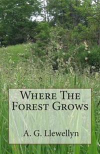 Where The Forest Grows