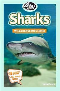 Sharks: Amazing Pictures & Fun Facts