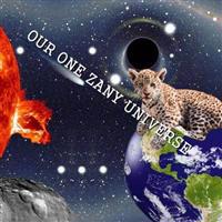 Our One Zany Universe